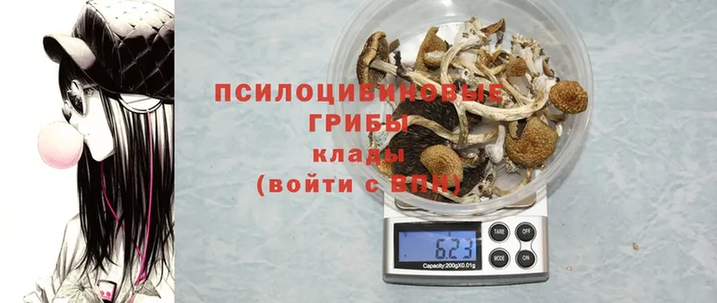 Галлюциногенные грибы MAGIC MUSHROOMS  Азнакаево 